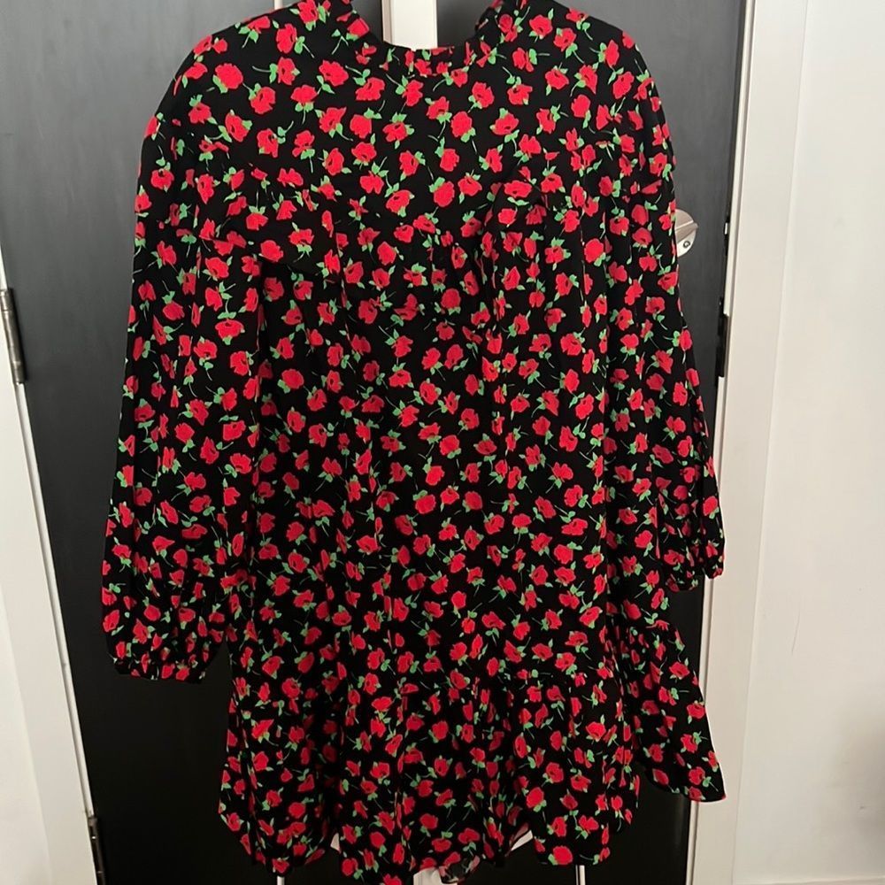 NWOT Zara floral mini dress - long sleeve, ruffle at hem and neck - large